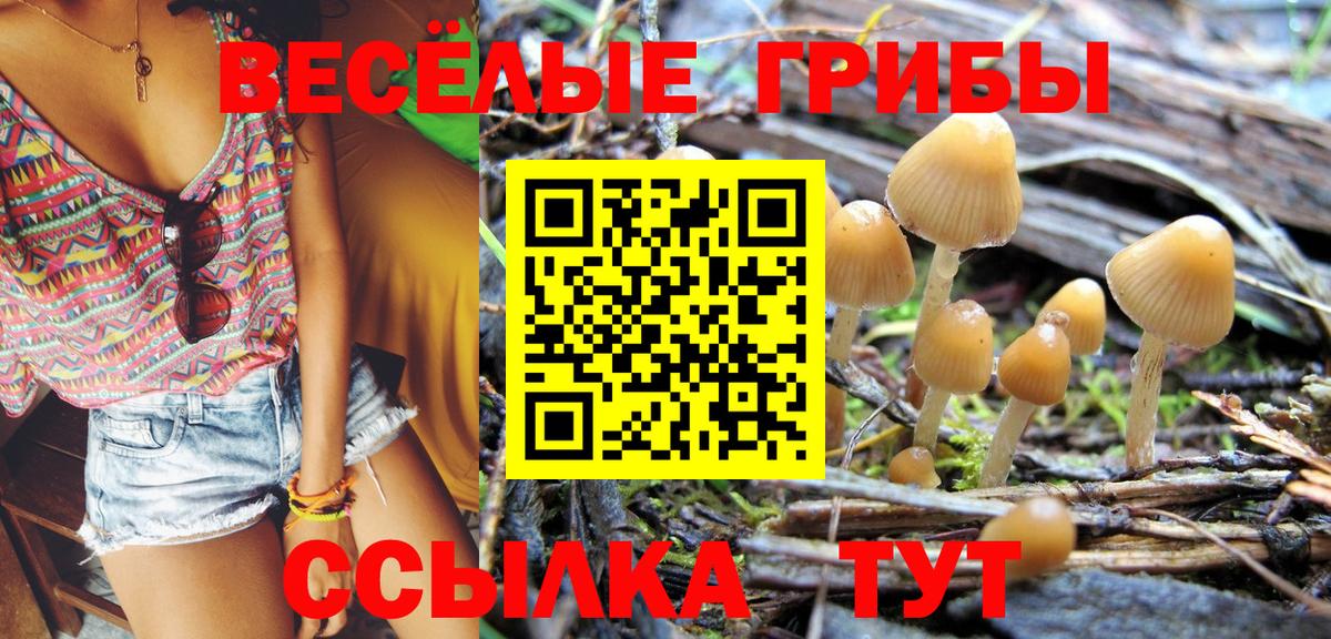 Ликино-Дулёво  Галлюциногенные грибы Psilocybine cubensis  Вход с VPN 