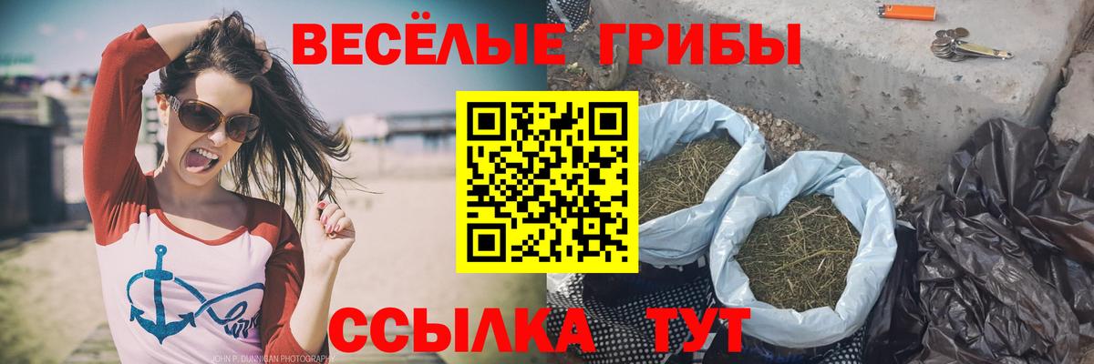 Псилоцибиновые грибы мицелий Ликино-Дулёво